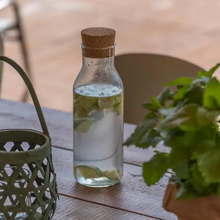 Terra Magica Heated Pool Sauna And Jacuzzi * Rapavel